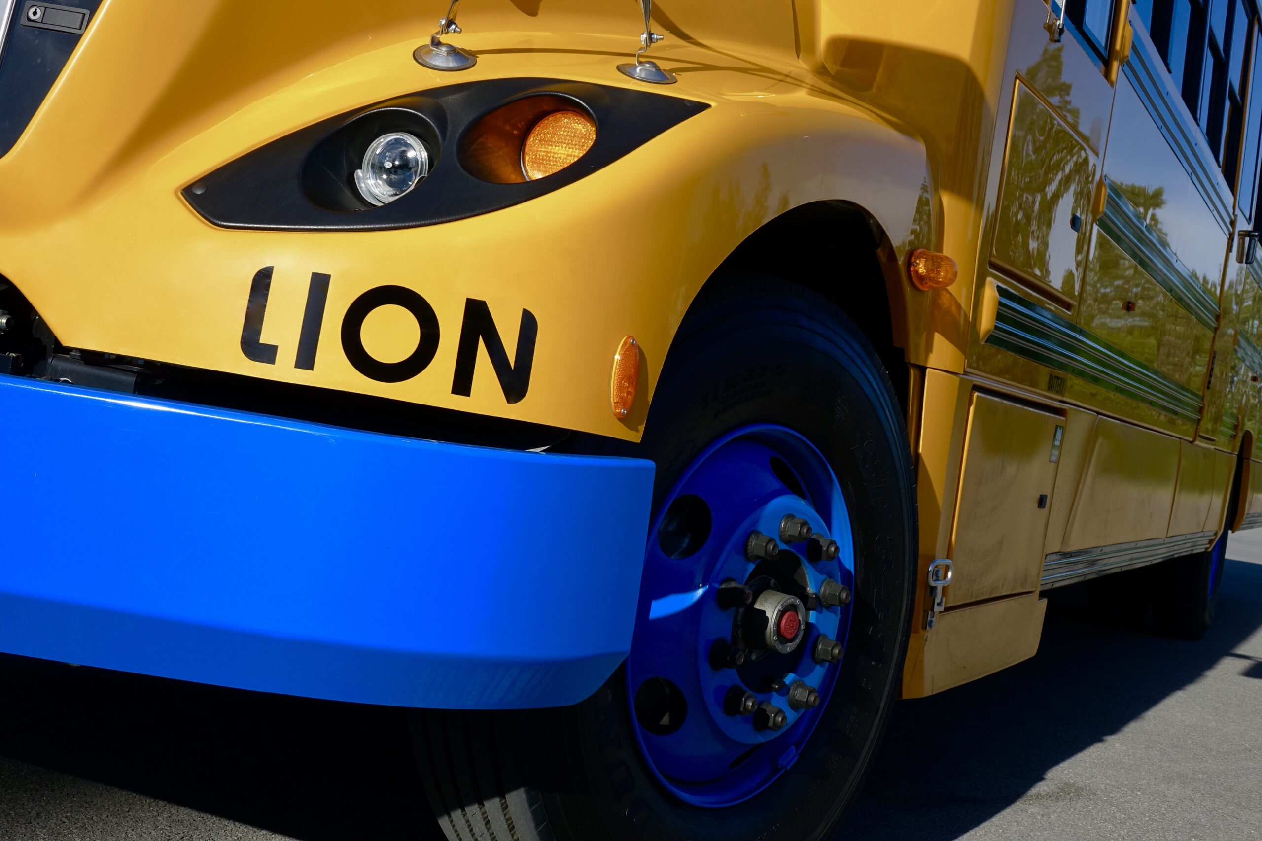 Community Guidelines Lion Electric 